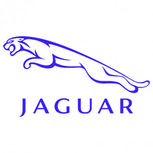 Load image into Gallery viewer, Jaguar Vinyl Decals
